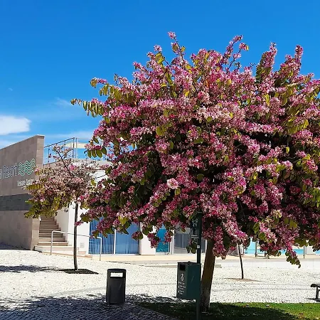 Privilege Sea View Arte Nova - Fuzeta