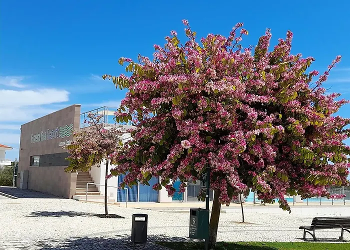 Privilege Sea View Arte Nova - Fuzeta